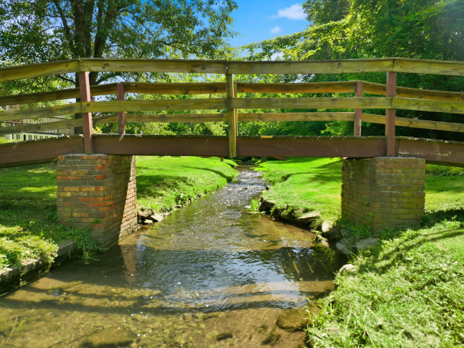 Listing Image 52