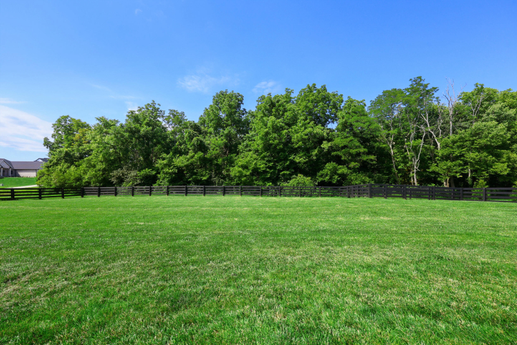 Listing Image 57