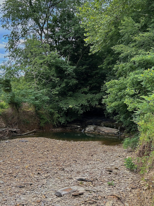 Listing Image 101