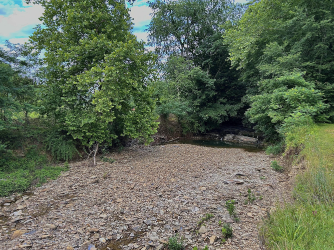 Listing Image 102