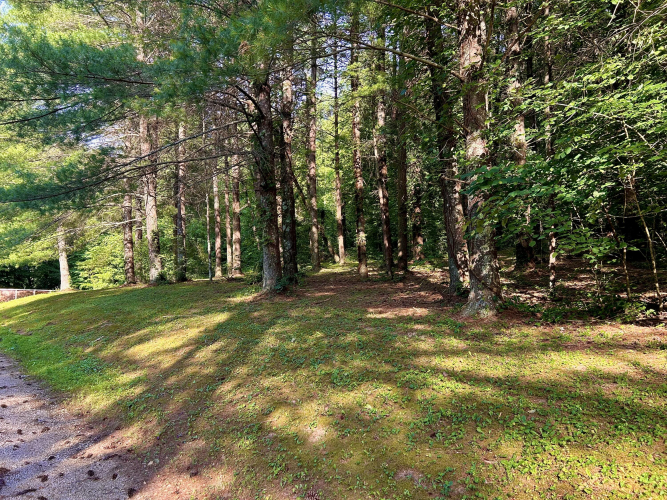 Listing Image 67