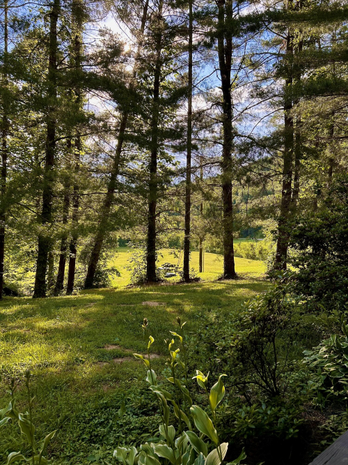 Listing Image 70