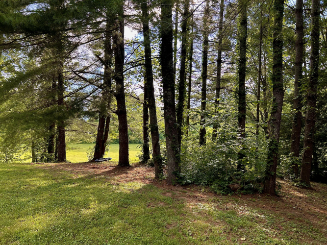 Listing Image 82