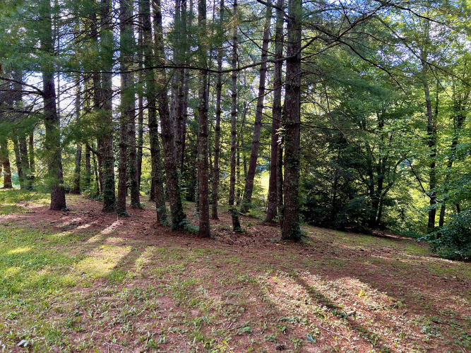 Listing Image 83