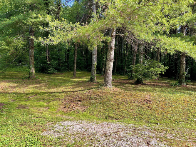 Listing Image 85