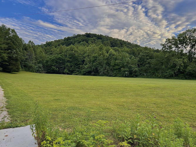 Listing Image 98