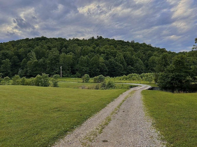 Listing Image 99