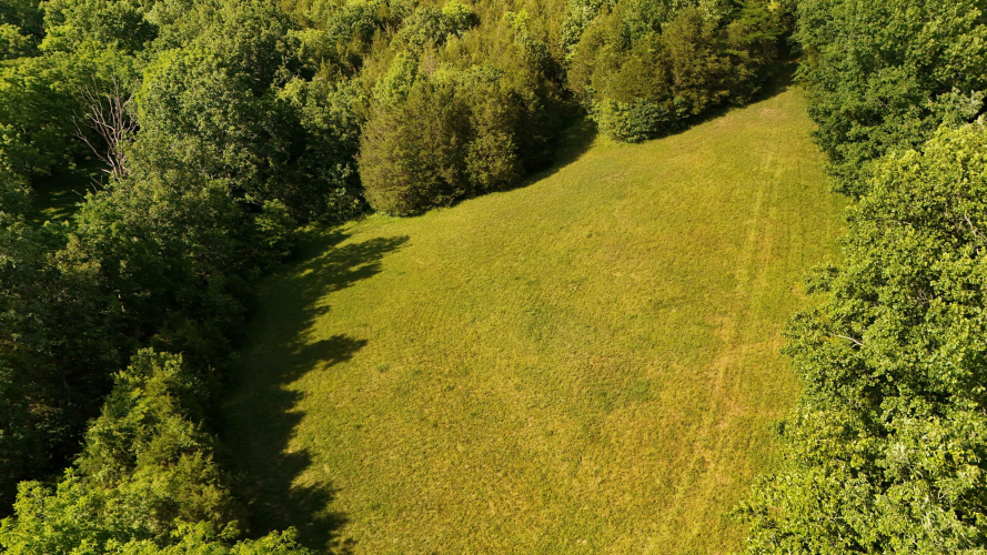 Listing Image 104