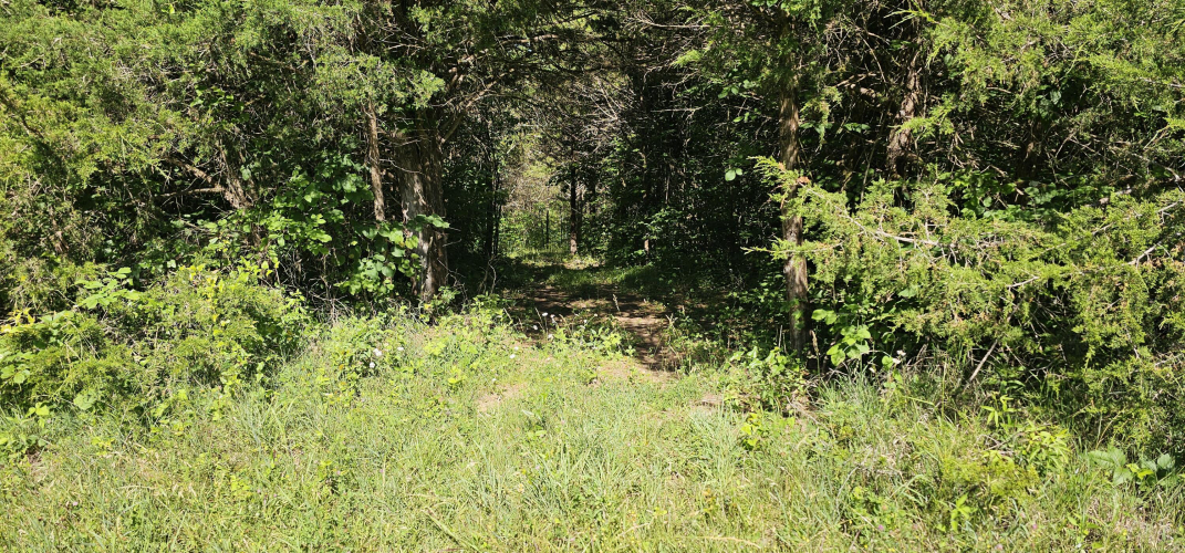Listing Image 24