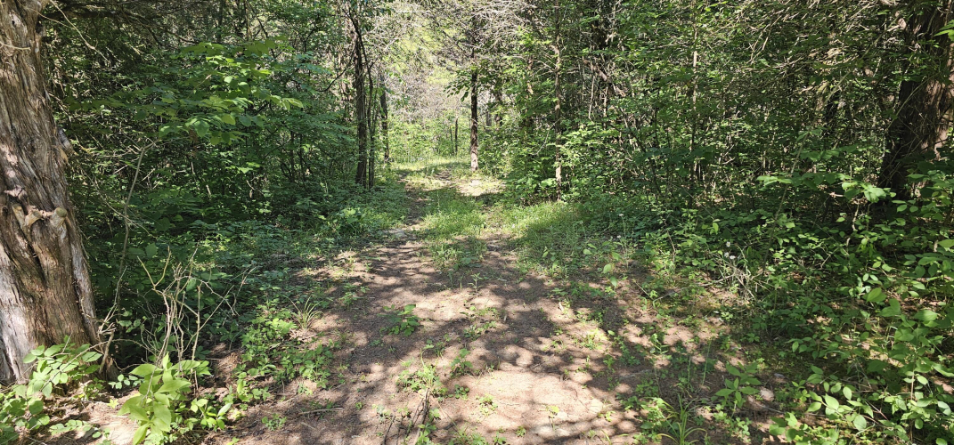 Listing Image 25