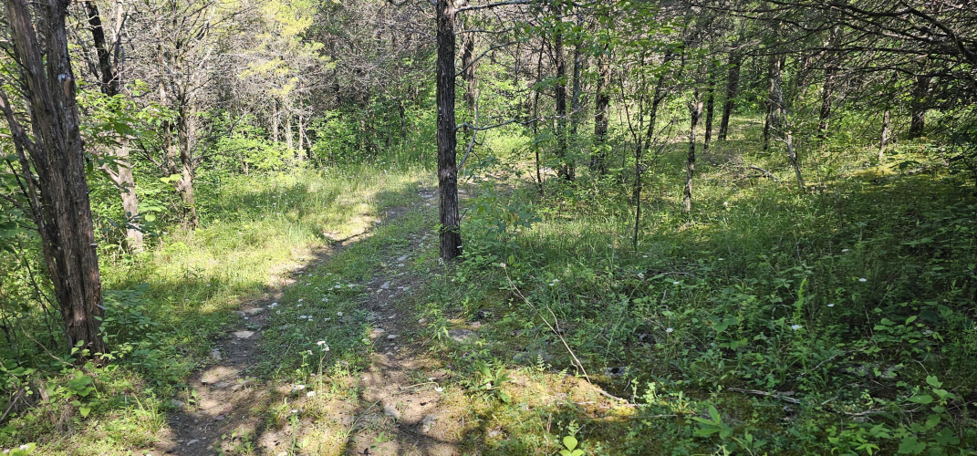 Listing Image 26