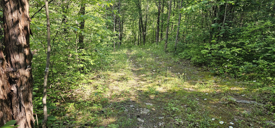 Listing Image 27