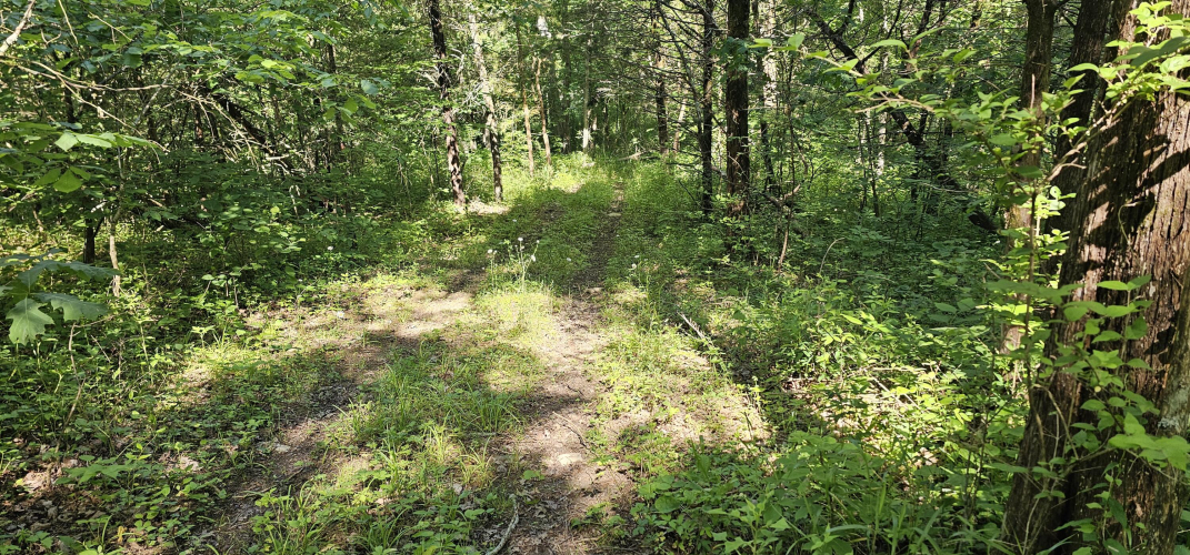 Listing Image 29