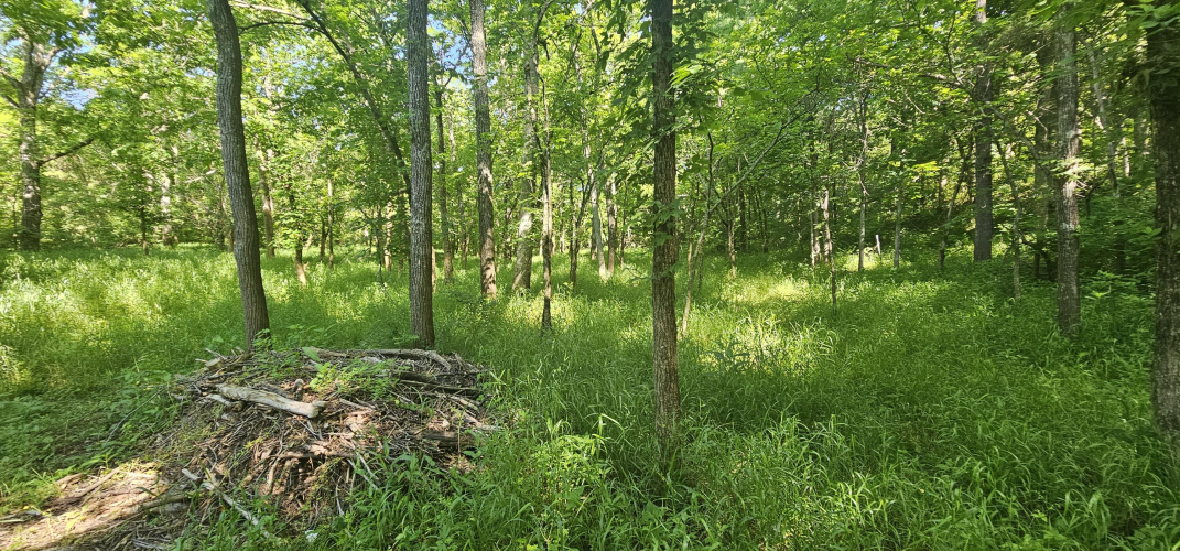 Listing Image 35