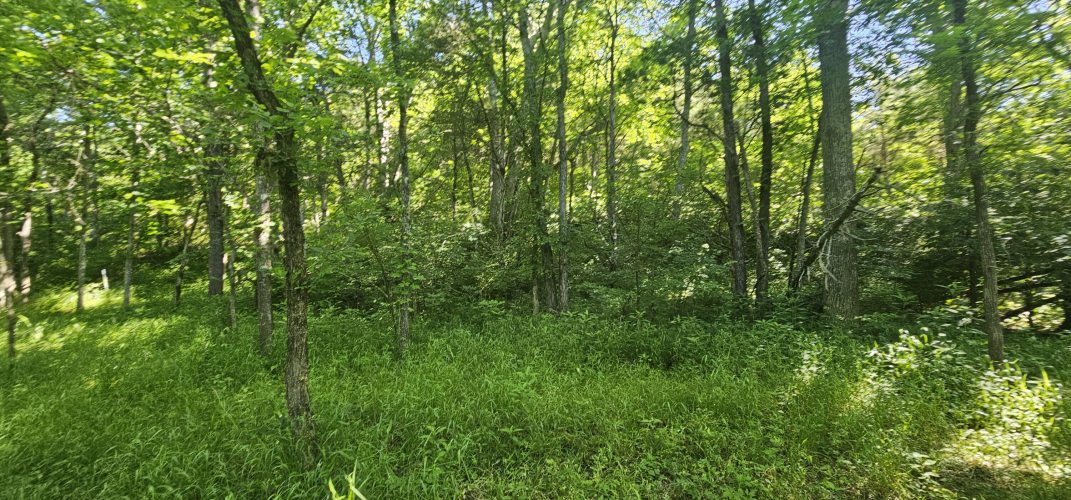 Listing Image 36