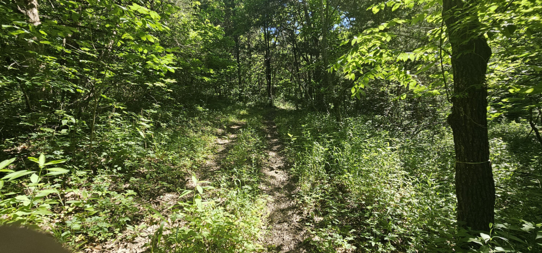 Listing Image 37