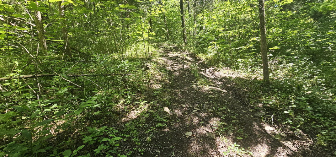 Listing Image 39