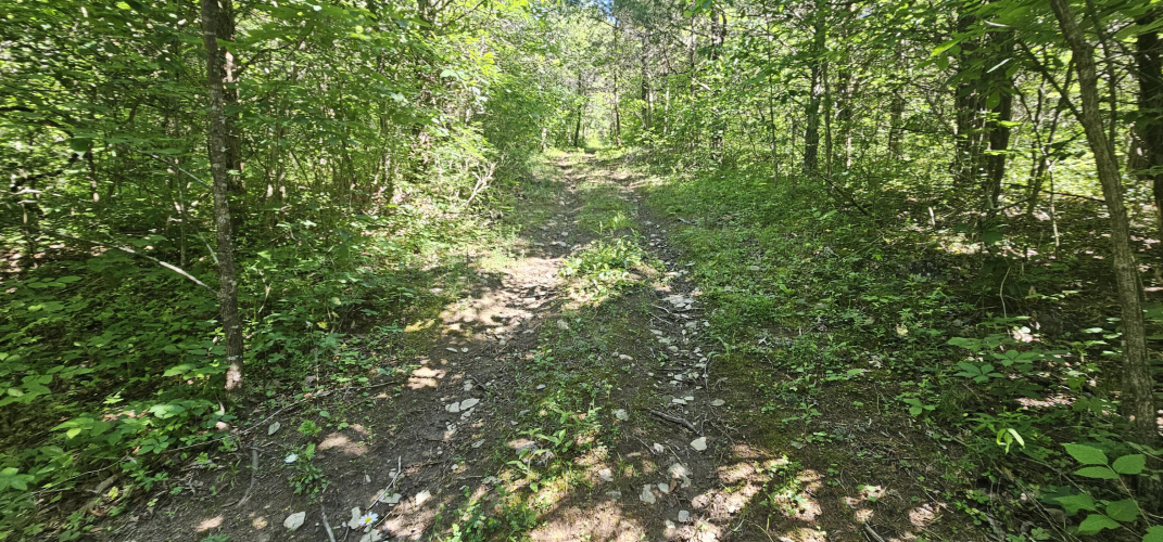 Listing Image 40