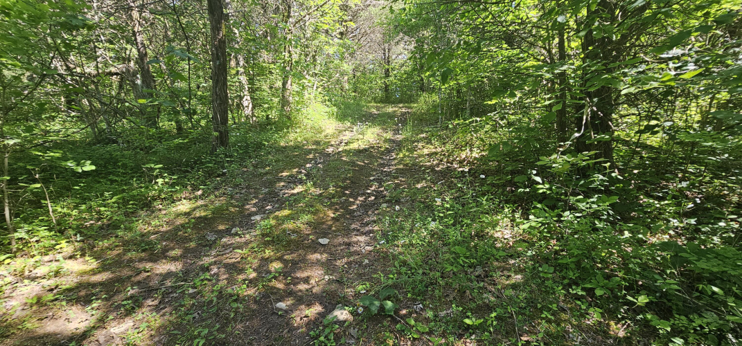 Listing Image 41
