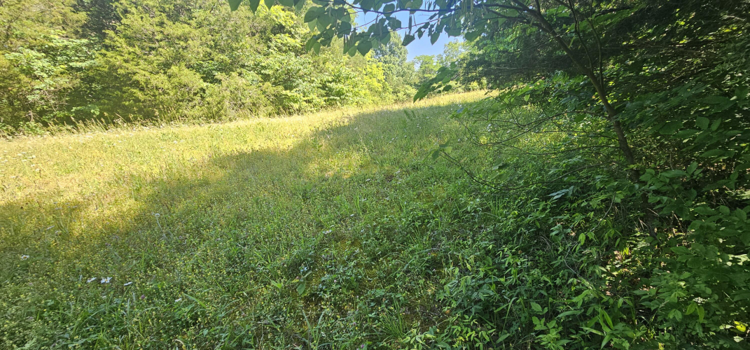 Listing Image 42