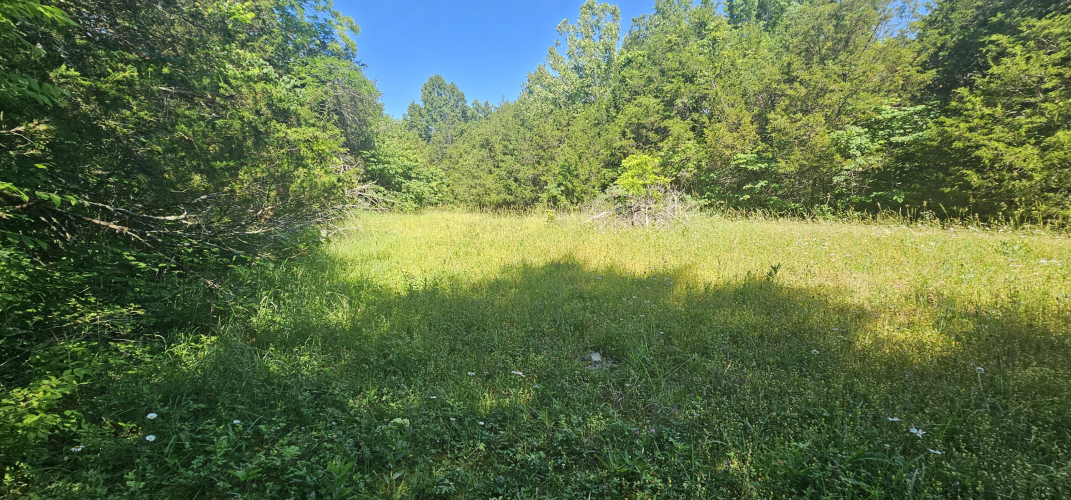 Listing Image 43