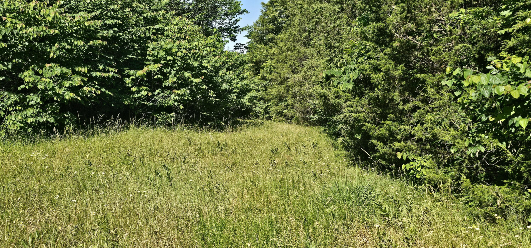 Listing Image 45