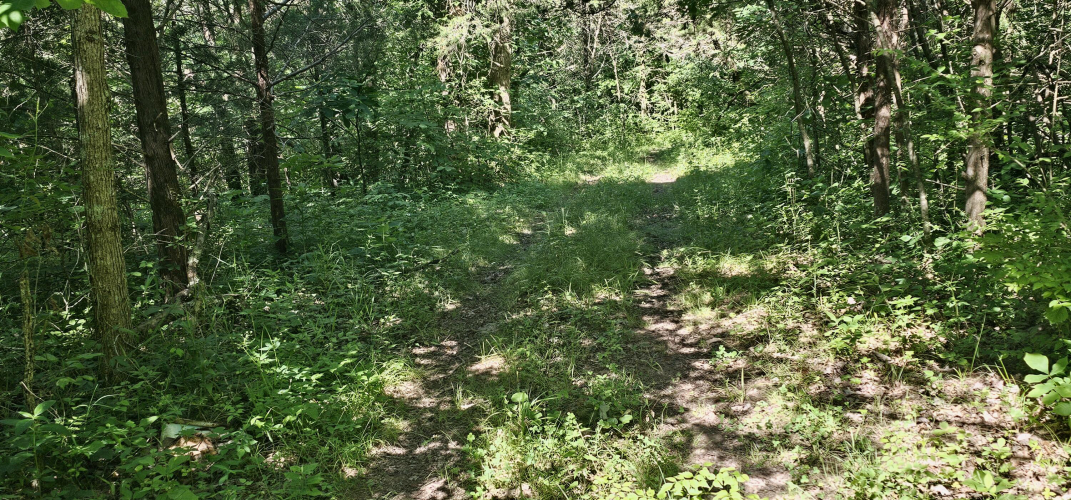 Listing Image 47
