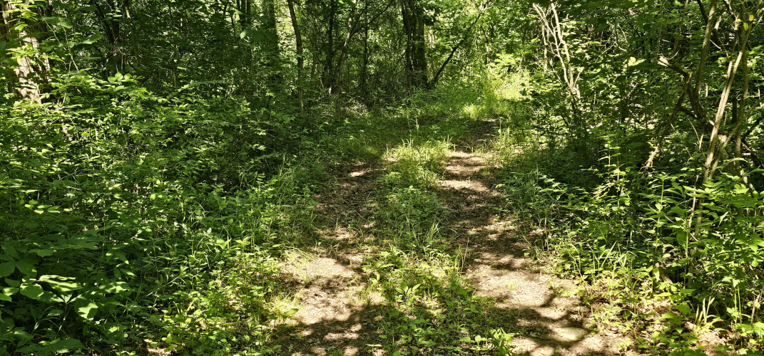 Listing Image 51