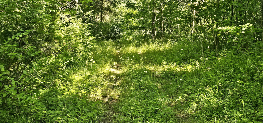 Listing Image 52