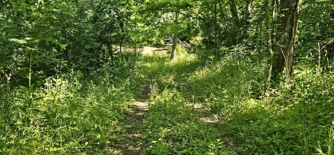 Listing Image 53