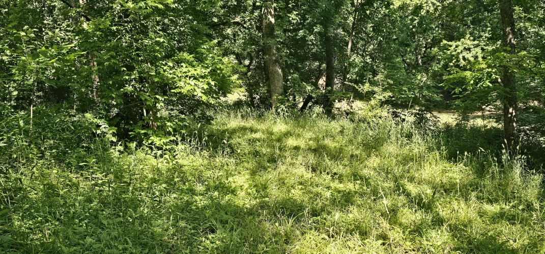 Listing Image 54