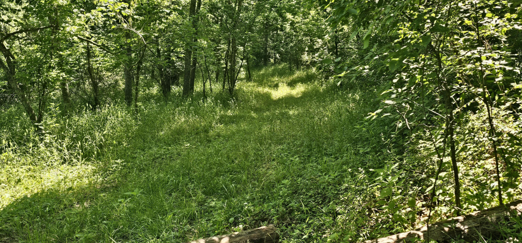Listing Image 55