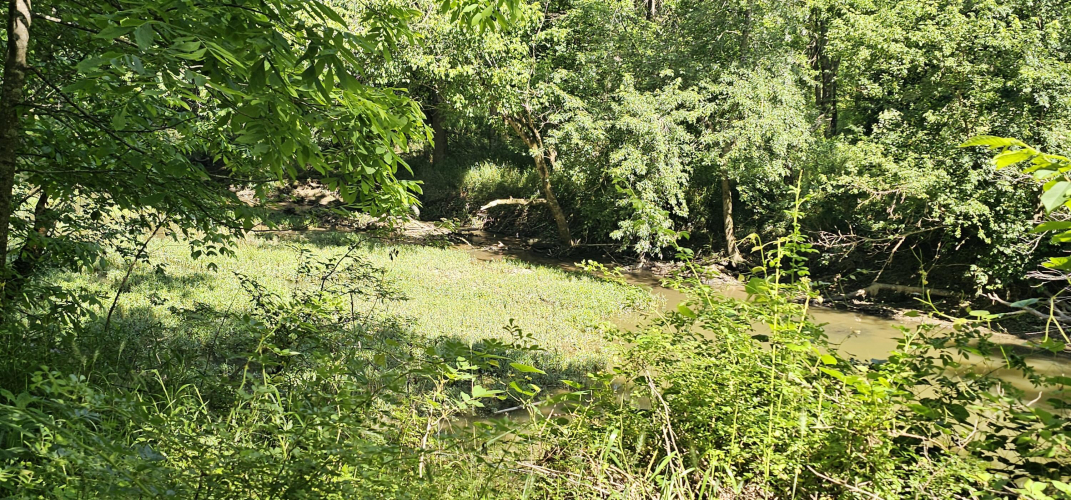 Listing Image 56
