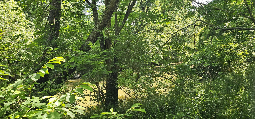 Listing Image 57