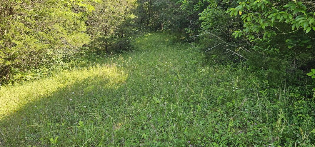 Listing Image 64