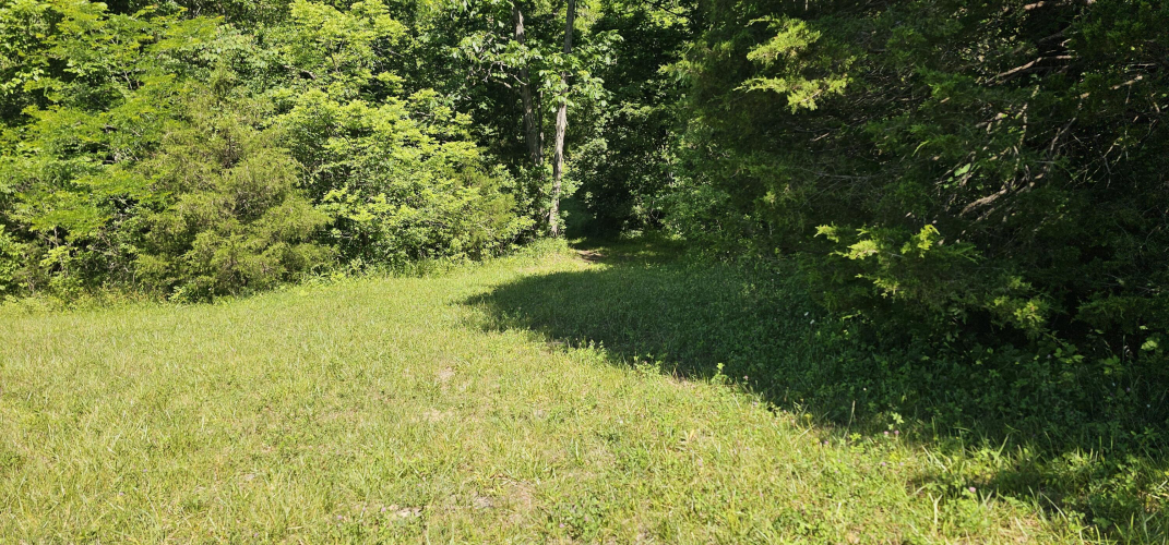 Listing Image 65