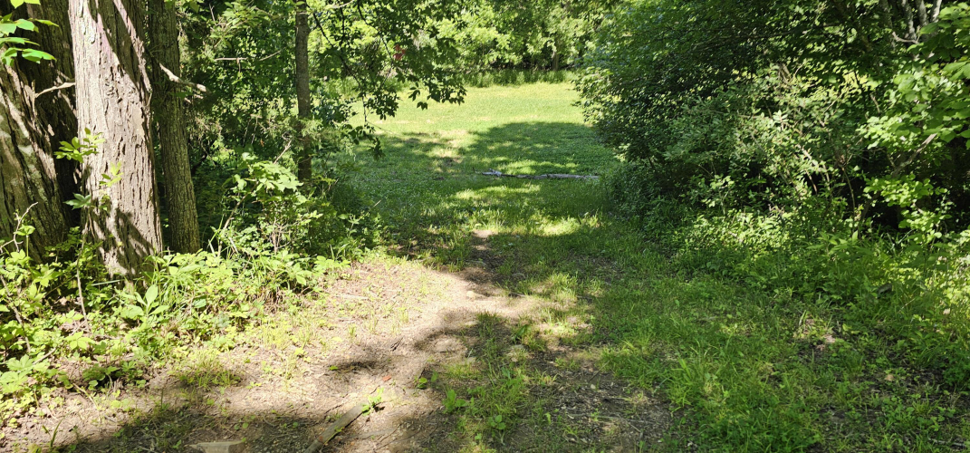 Listing Image 66