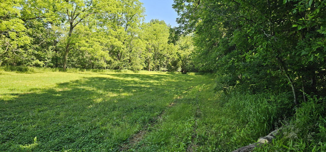 Listing Image 67