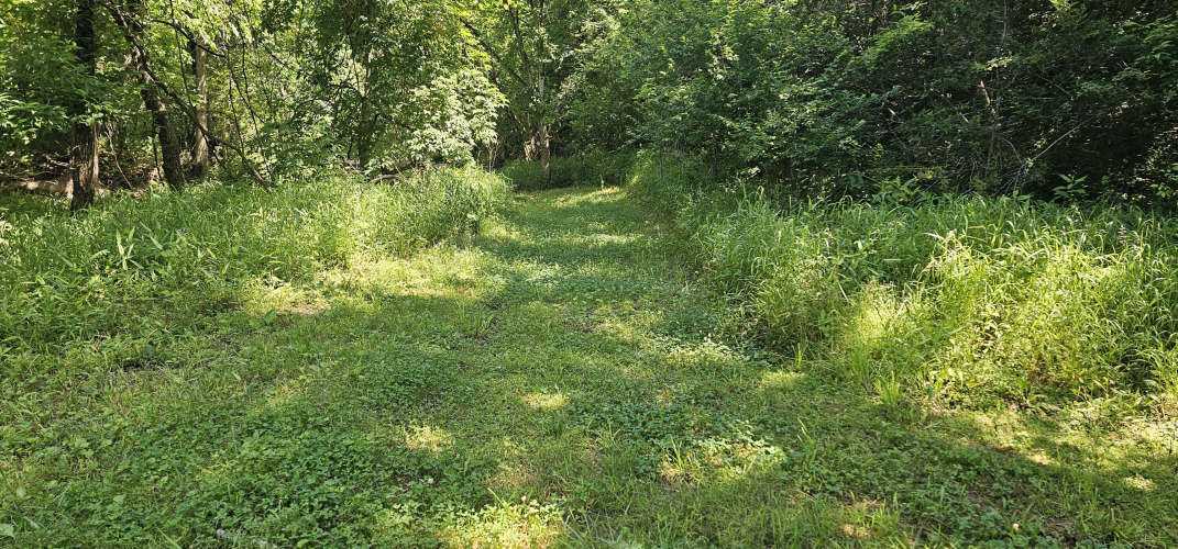 Listing Image 68
