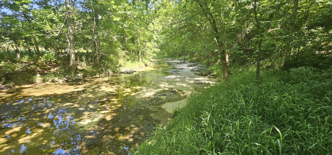 Listing Image 71