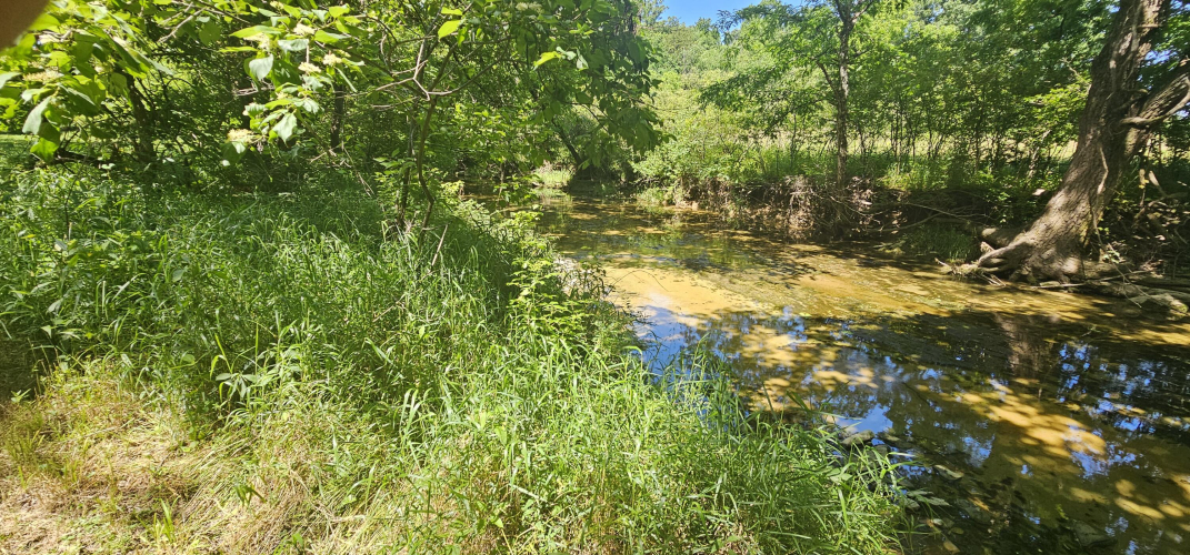 Listing Image 72