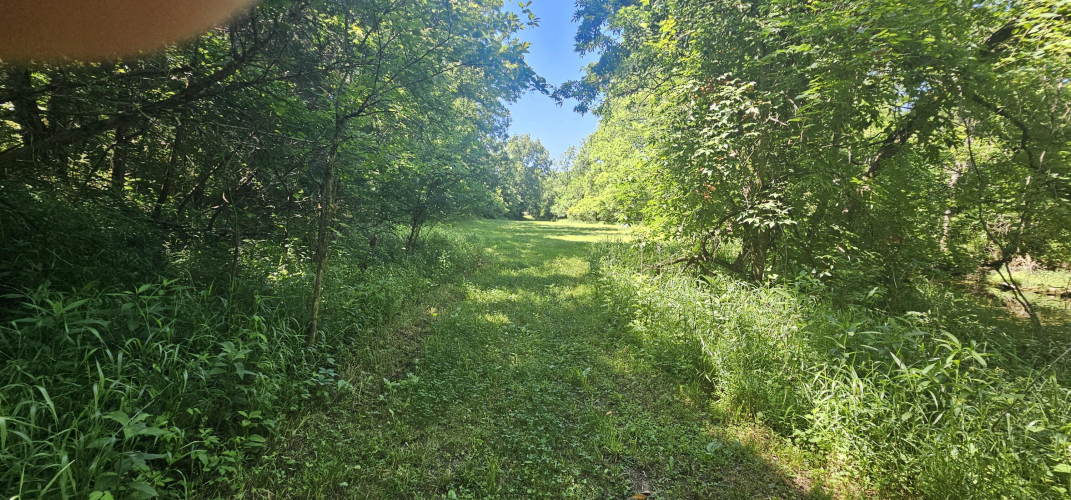 Listing Image 73