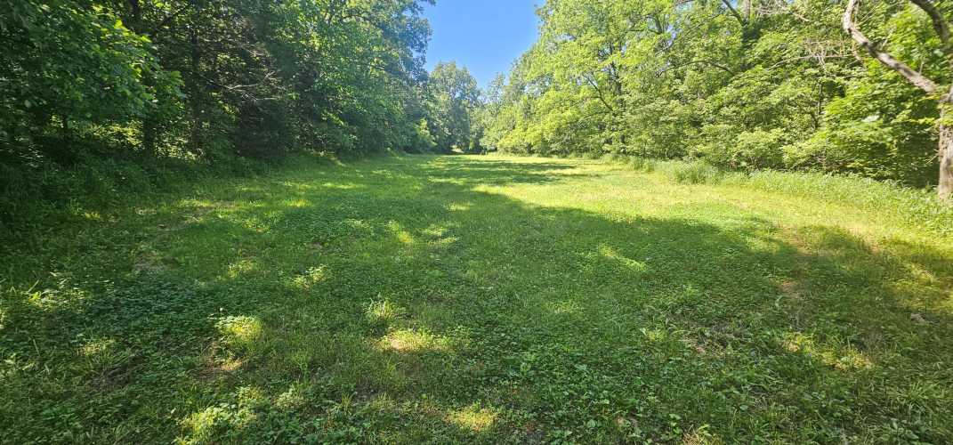 Listing Image 74