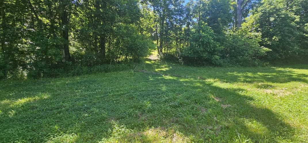 Listing Image 75