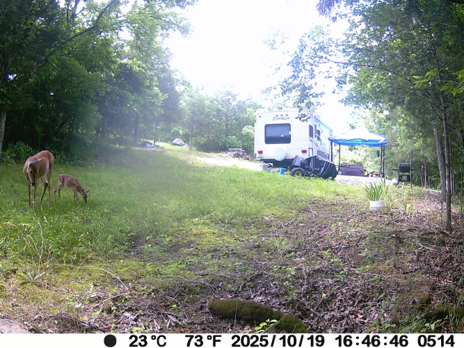 Listing Image 77