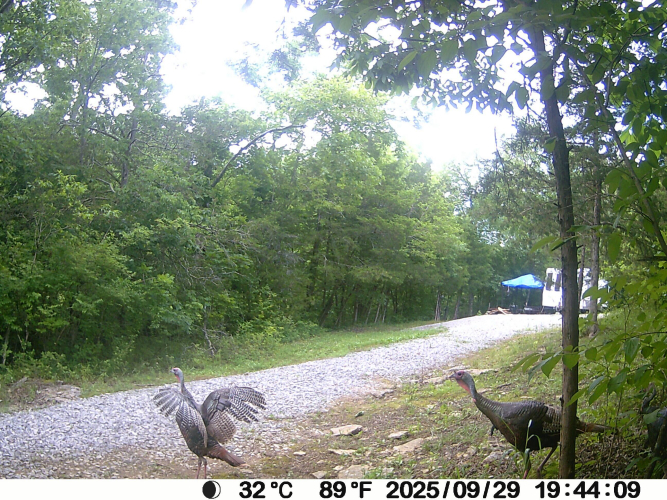 Listing Image 78