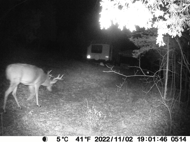 Listing Image 79