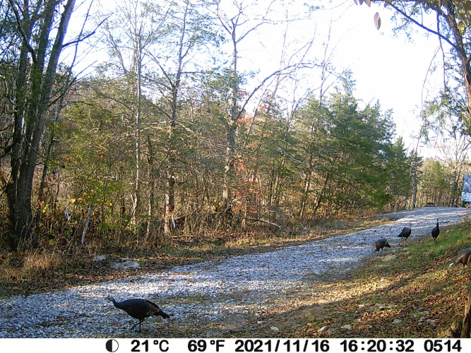 Listing Image 80