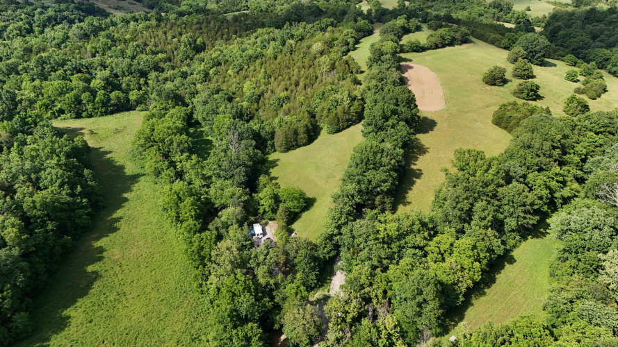 Listing Image 81