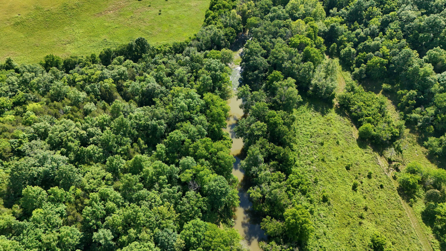 Listing Image 87